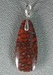 Vibrant, Red Agatized Dinosaur Gembone Pendant #33825-1